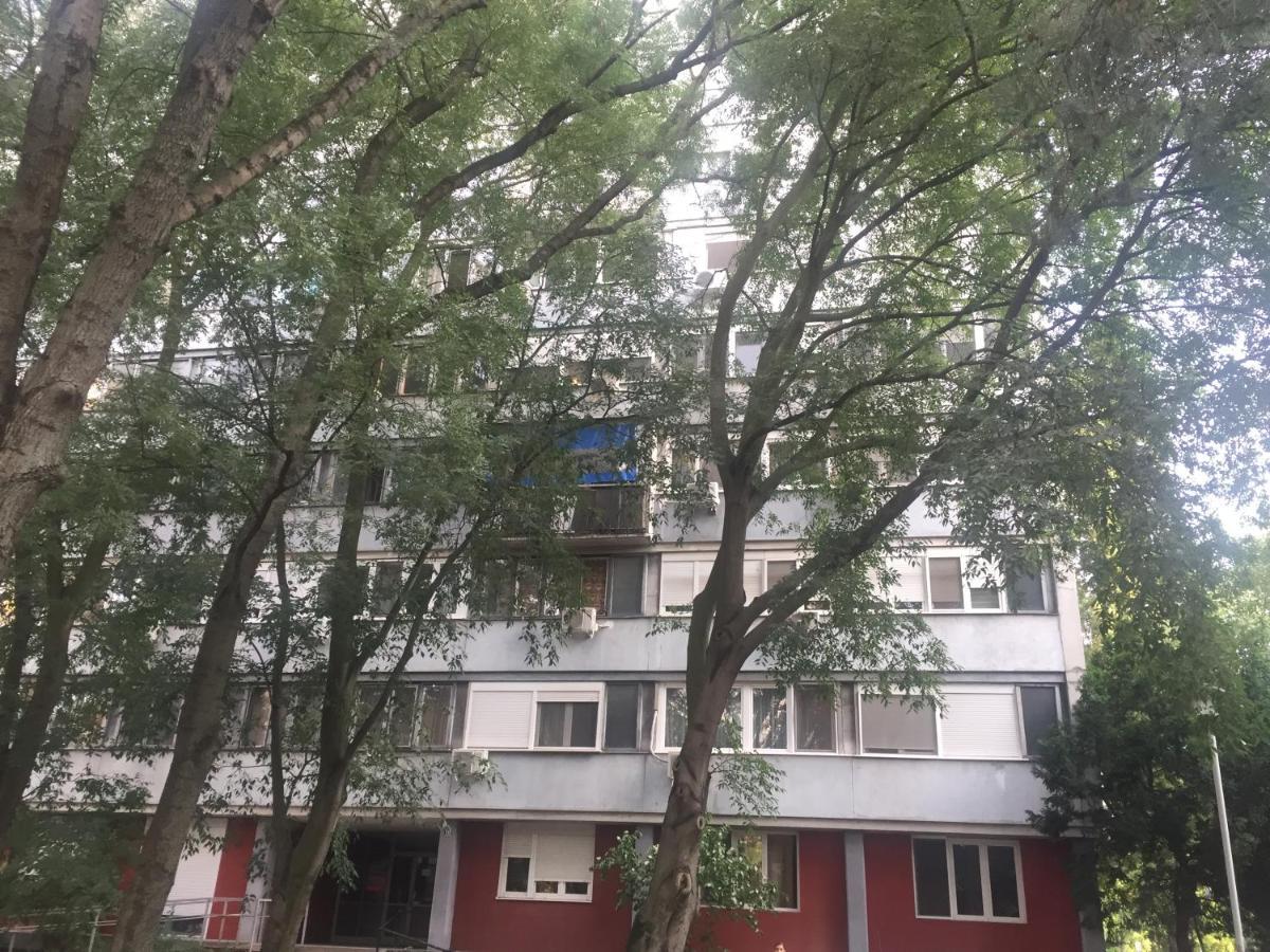 Apartment Ljiljana Belgrade Extérieur photo