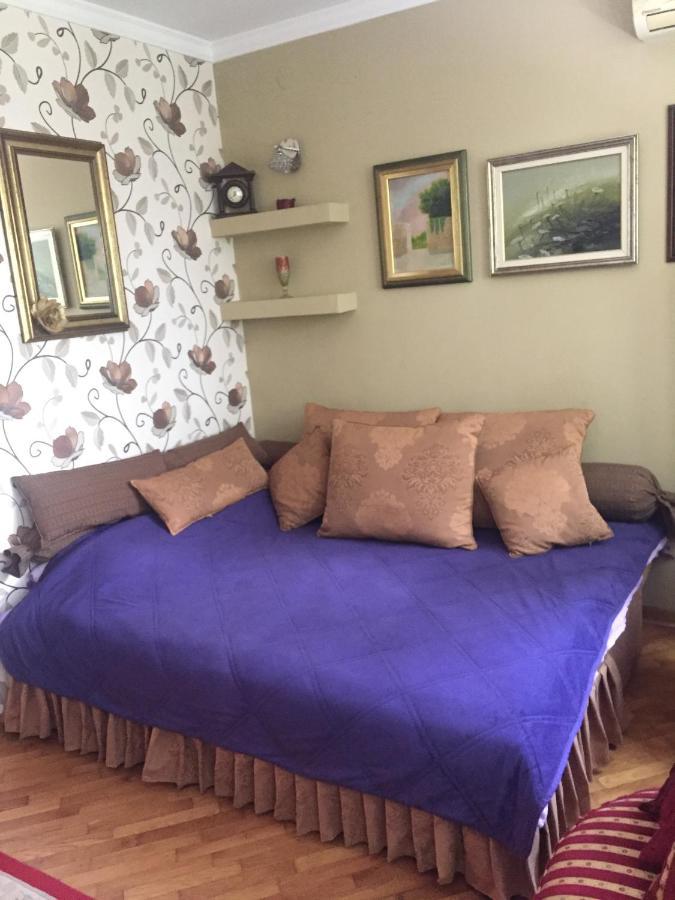 Apartment Ljiljana Belgrade Extérieur photo