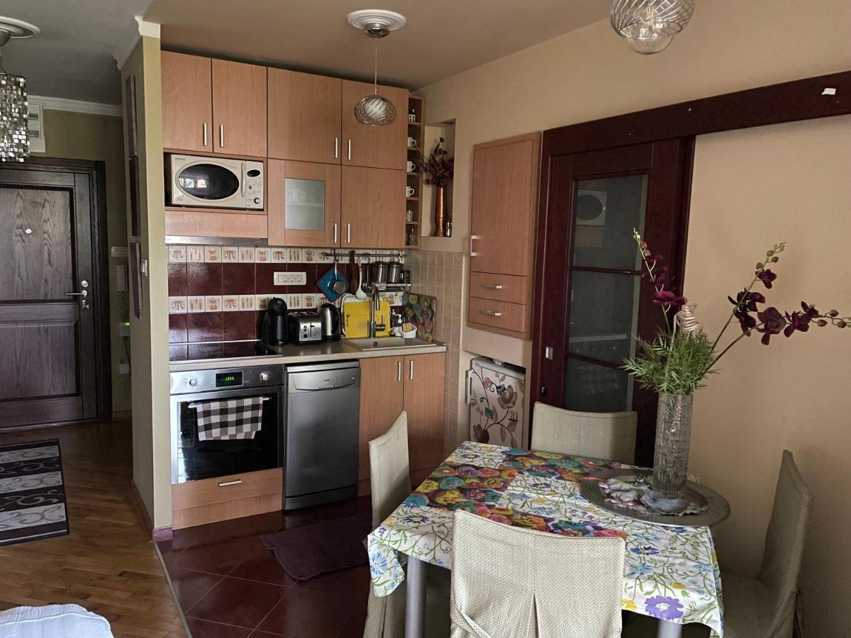 Apartment Ljiljana Belgrade Extérieur photo