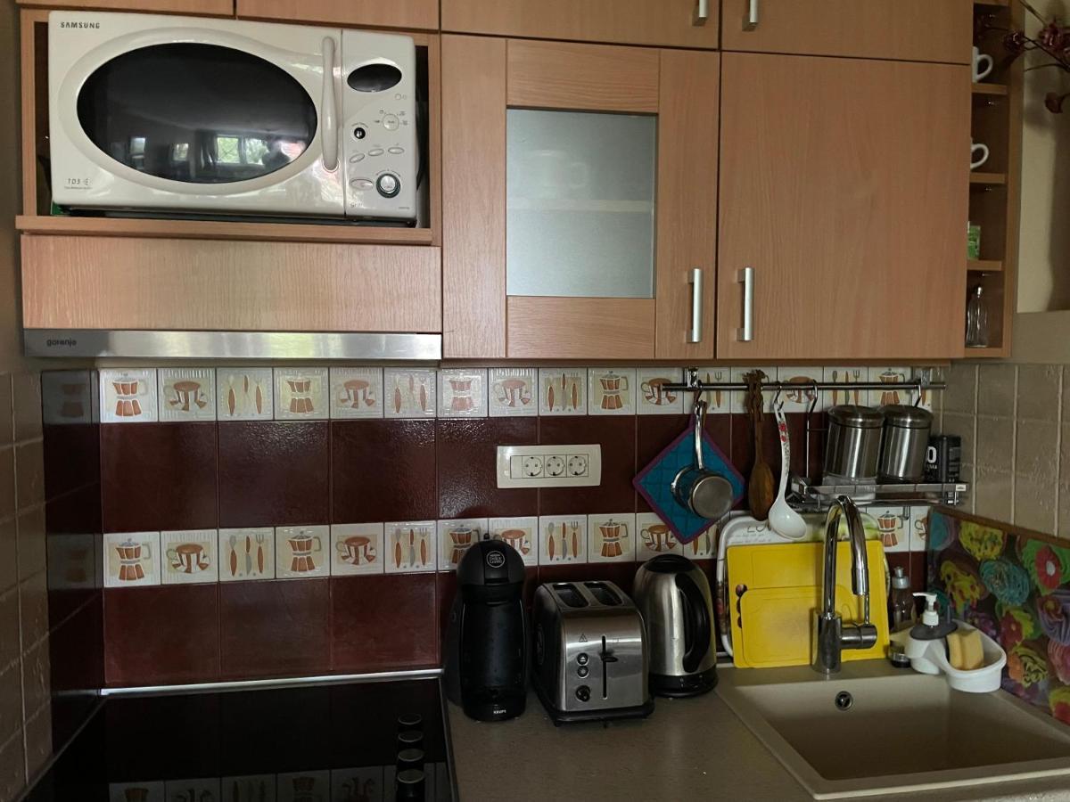 Apartment Ljiljana Belgrade Extérieur photo